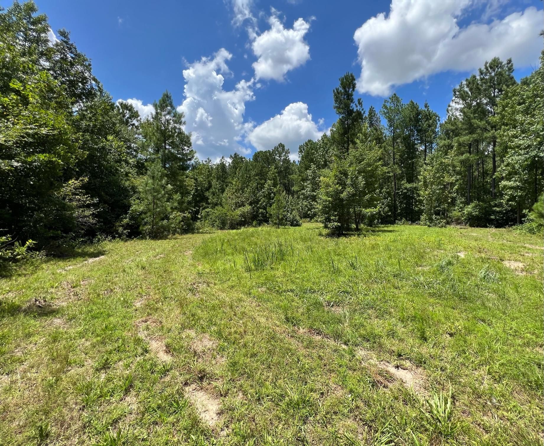 42.59 acres in Washington County,