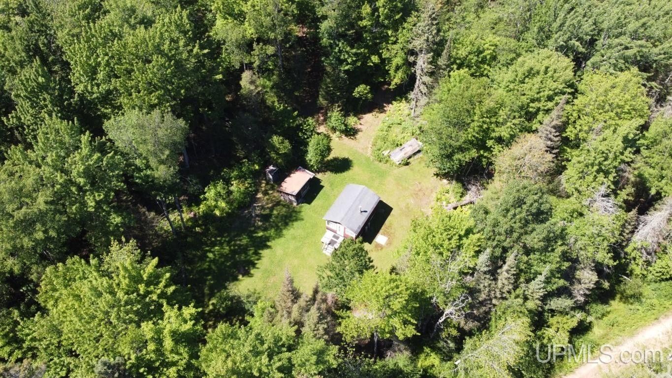 40 acres in Marquette County, Michigan