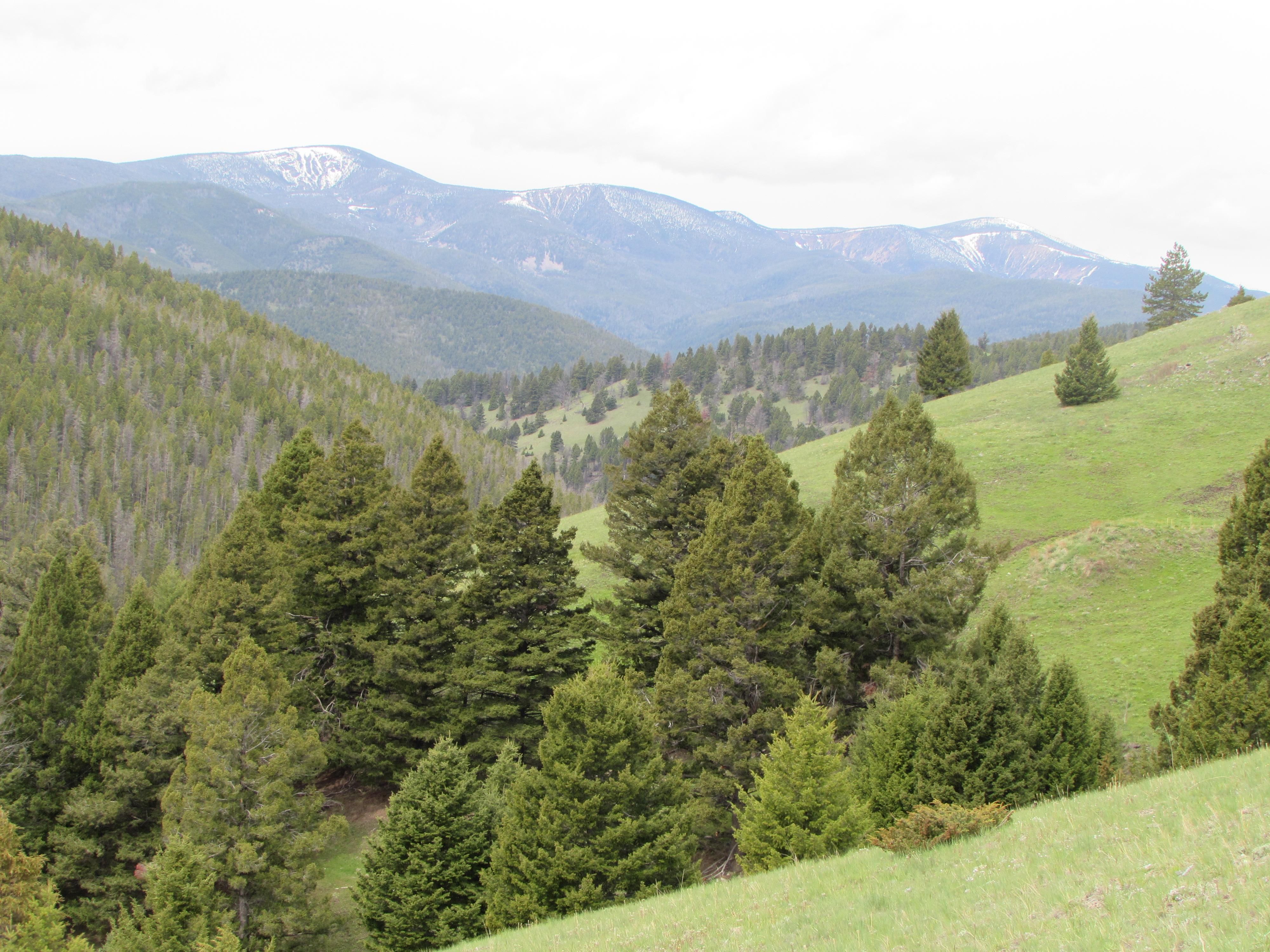 16 acres in Lewis and Clark County, Montana