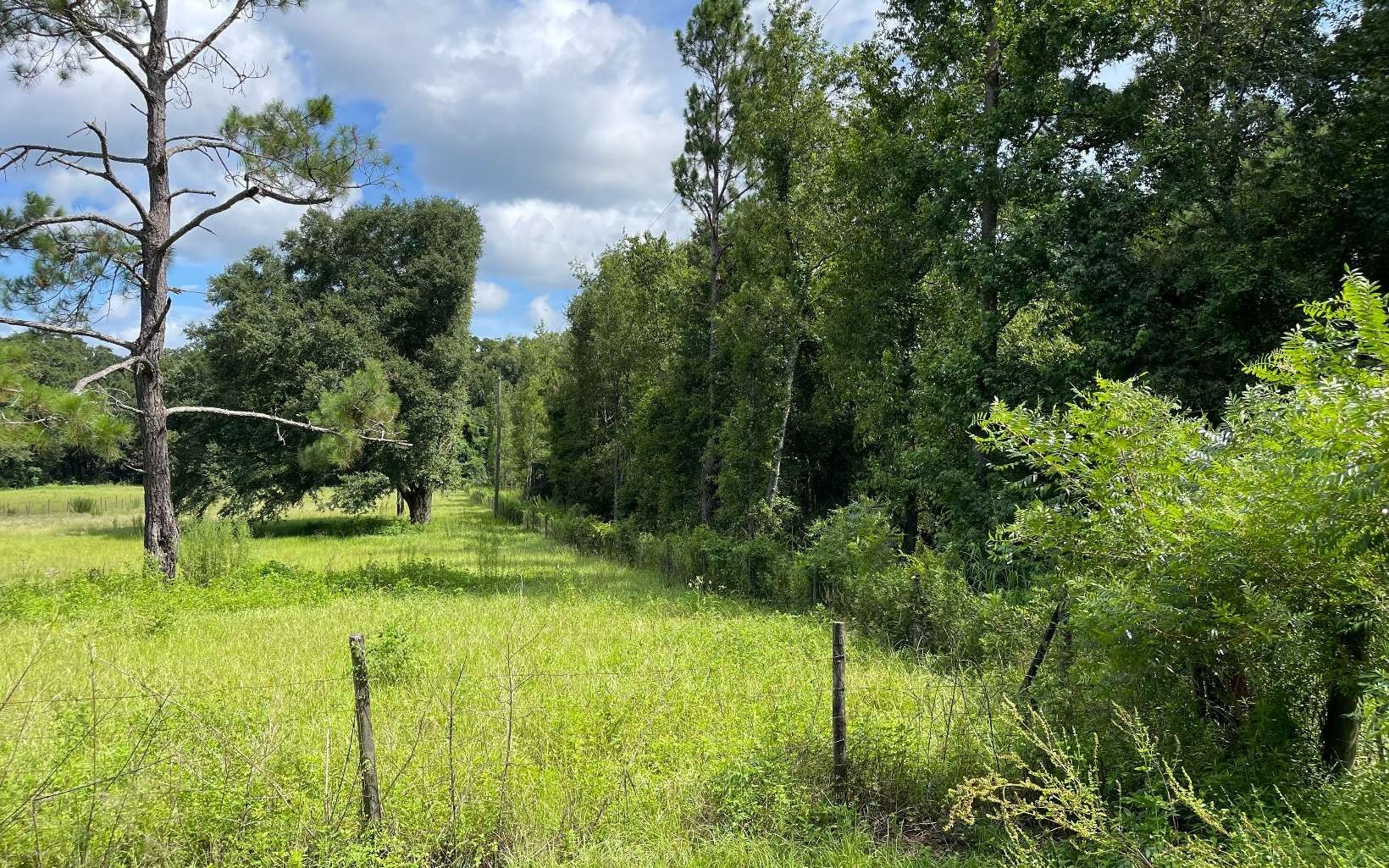 6.99 acres in Columbia County, Florida