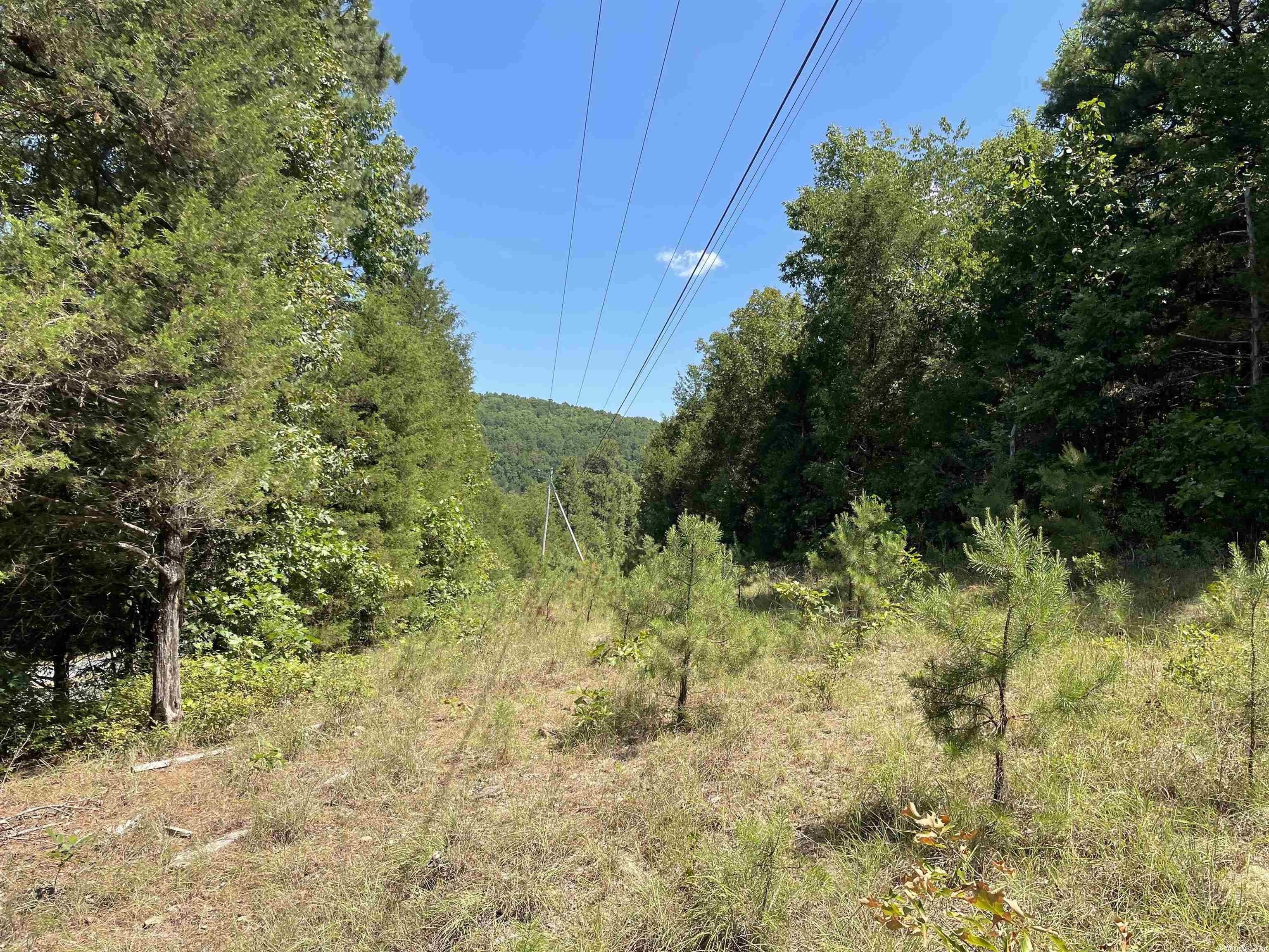 20 acres in Stone County, Arkansas