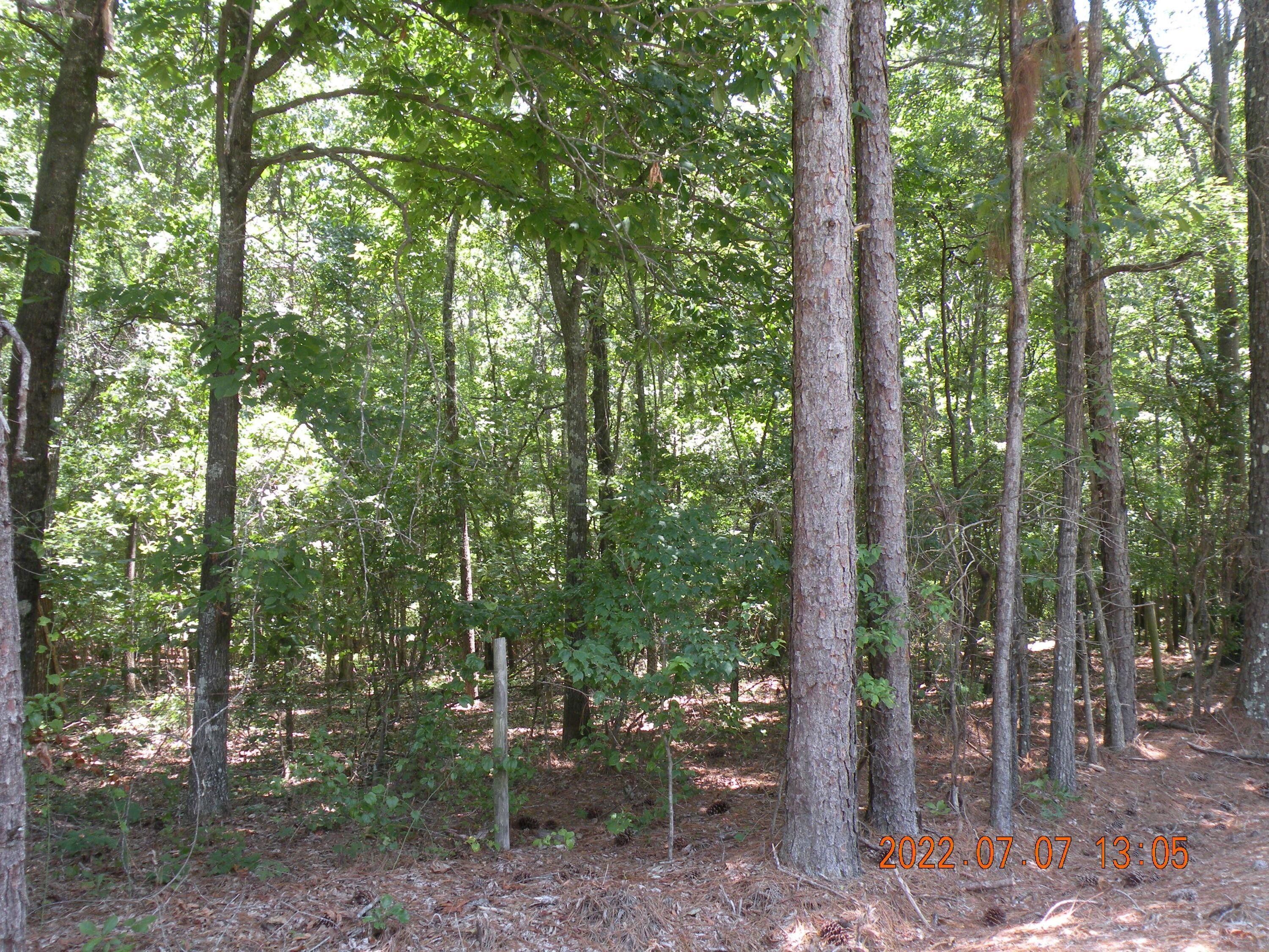 84 acres in Walker County, Alabama