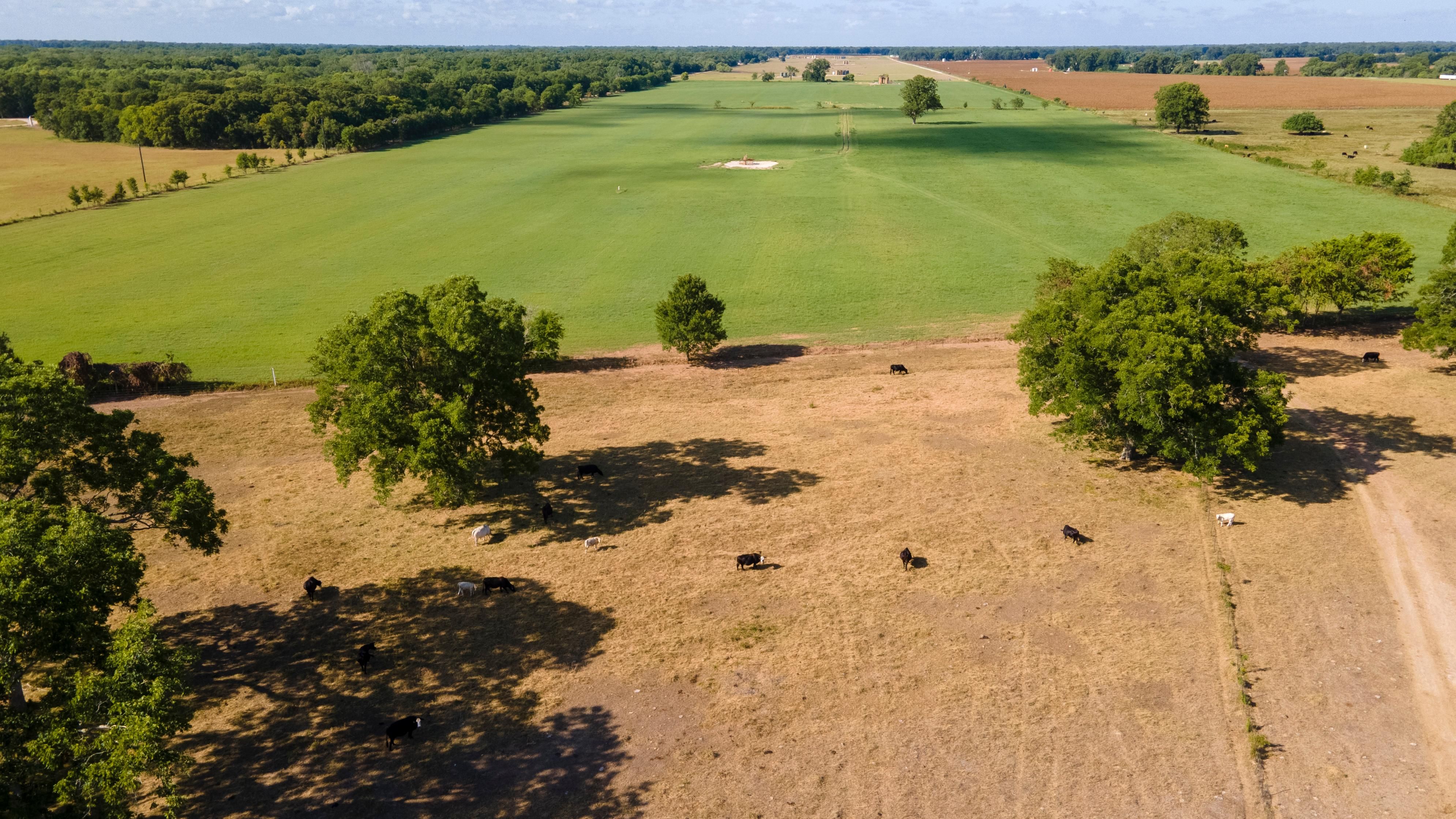 267.76 acres in Wharton County, Texas