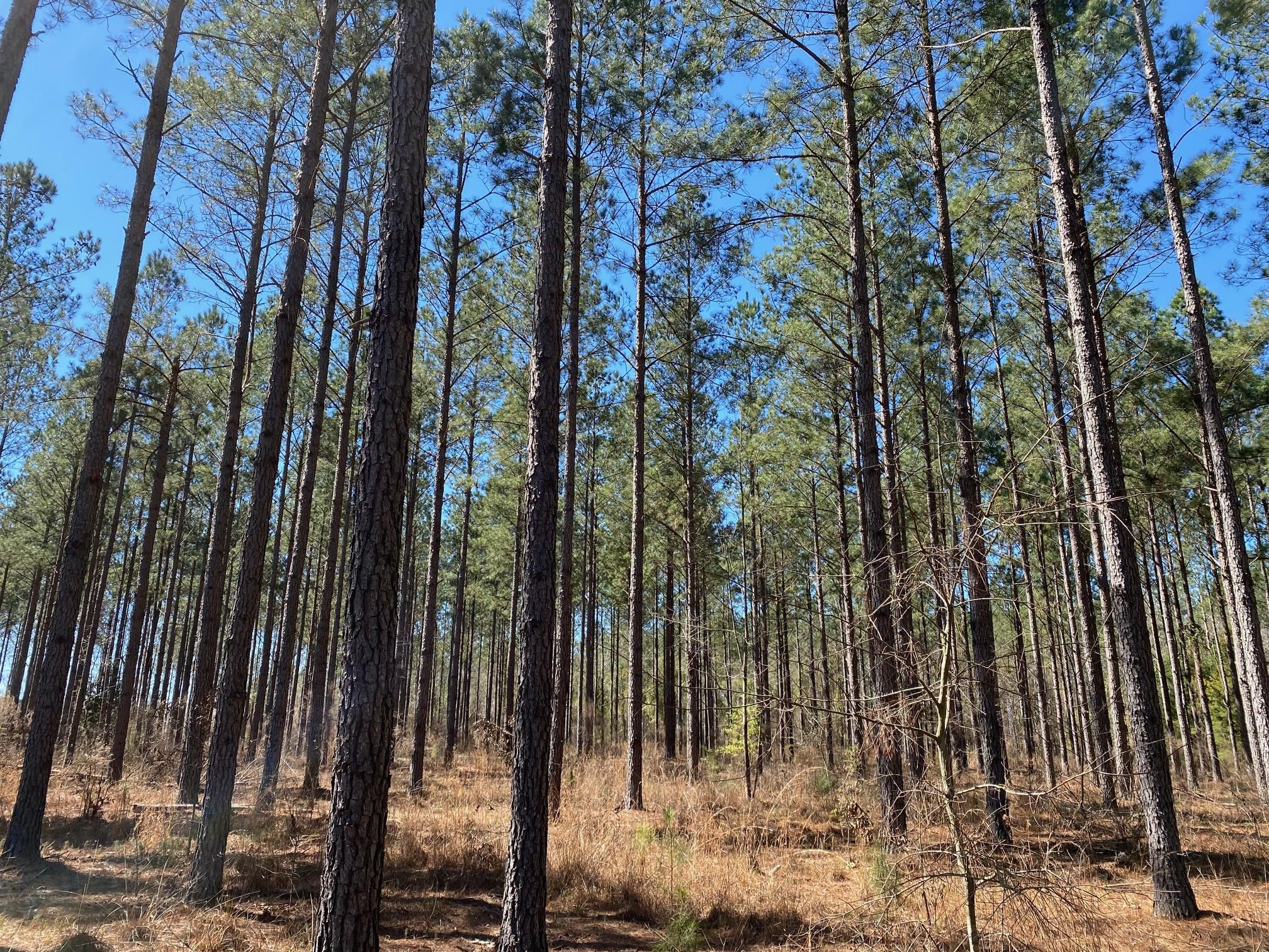 223.6 acres in Jefferson County,