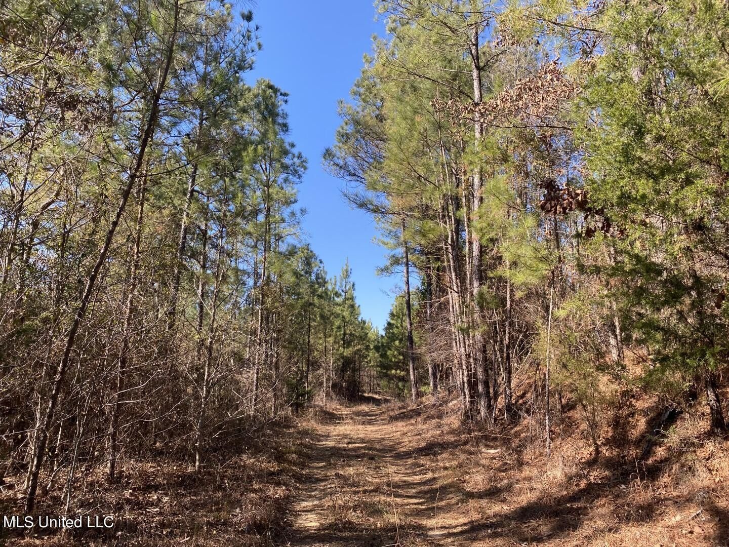 240 acres in Attala County, Mississippi