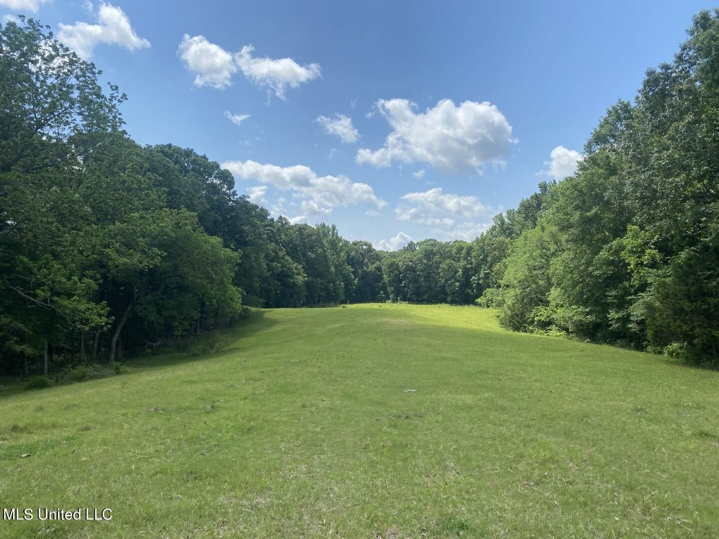 240 acres in Holmes County, Mississippi