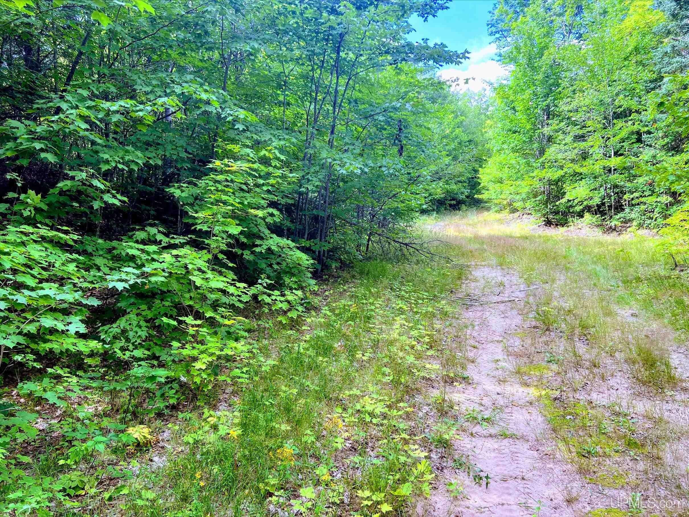 10 acres in Marquette County, Michigan
