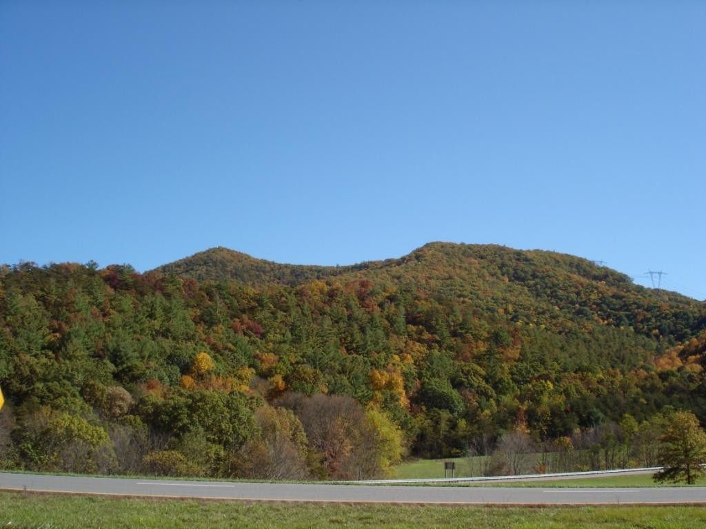 98.33 acres in Bland County, Virginia