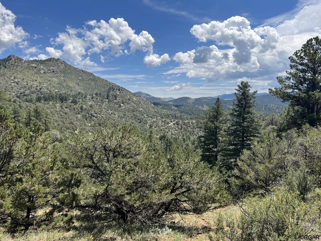 31.54 acres in Custer County, Colorado