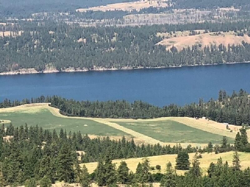 40 acres in Stevens County, Washington