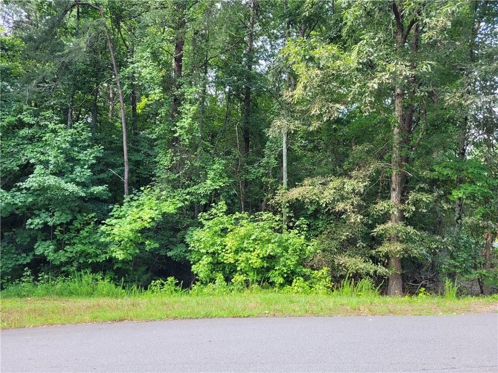 4 acres in Dawson County,