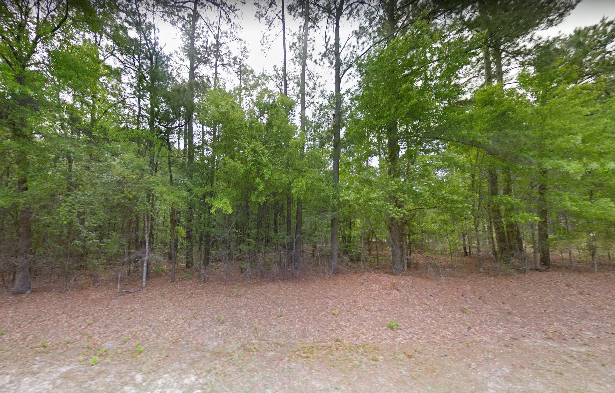 2 Acres Calhoun County, SC