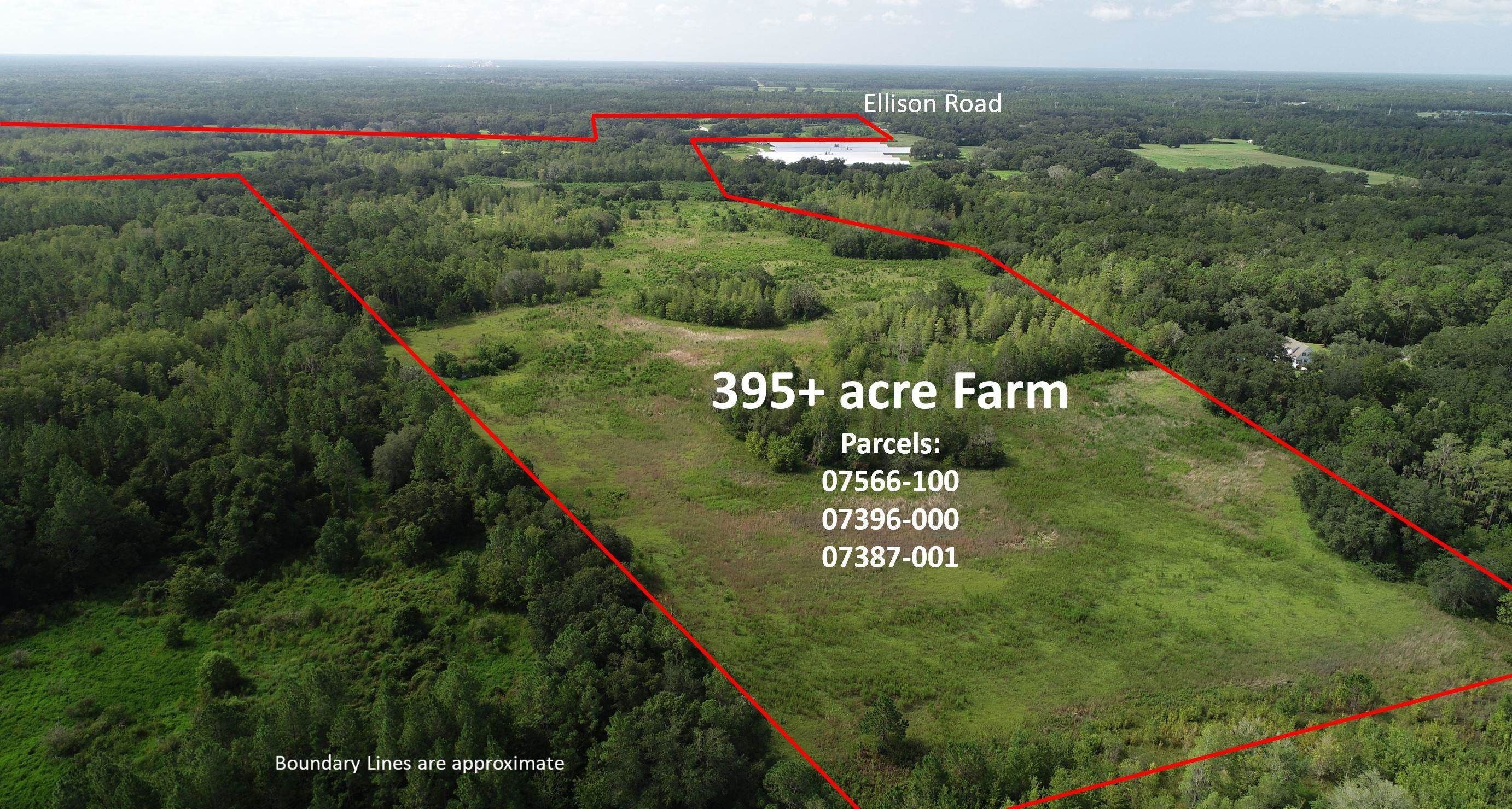 395 acres in Taylor County, Florida
