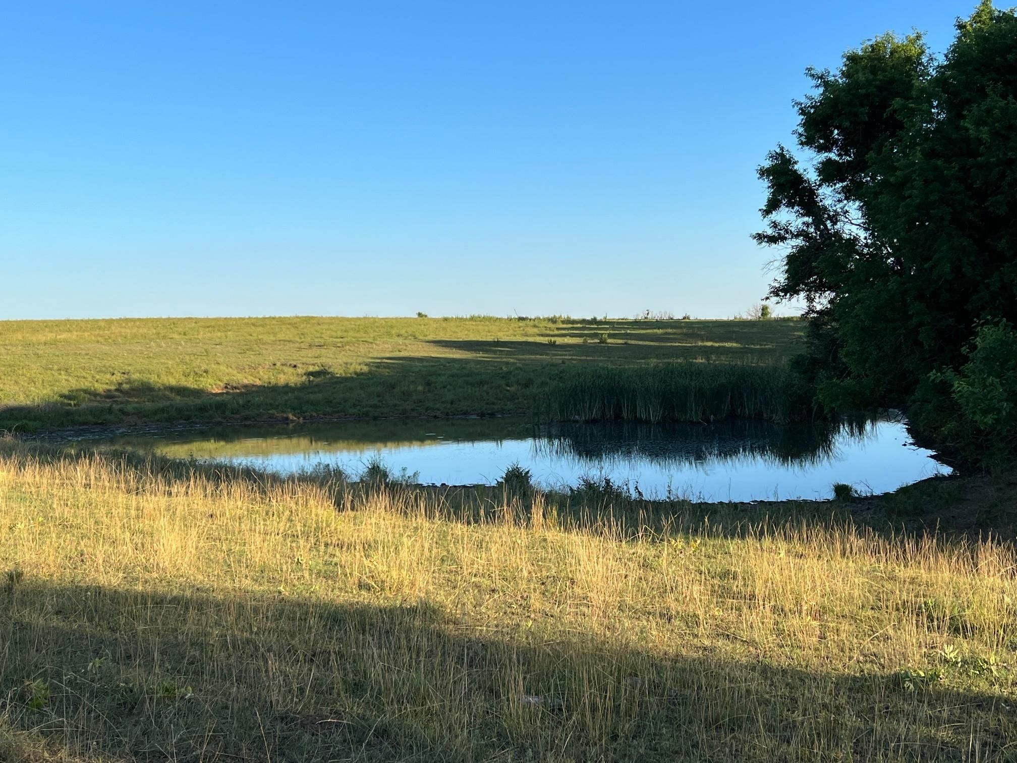 231 acres in Coffey County, Kansas