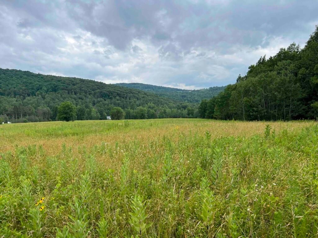 30 acres in Tioga County, New York