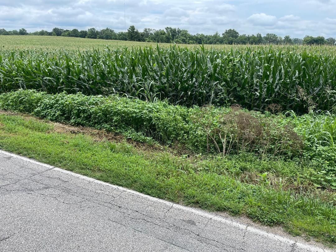71 acres in Vigo County, Indiana