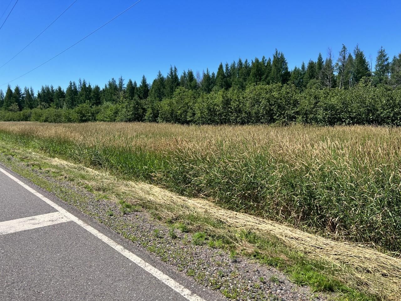 40 acres in Lincoln County, Wisconsin