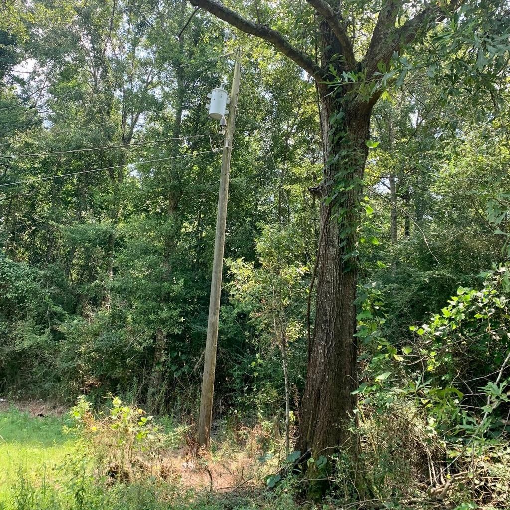 38 acres in Catahoula Parish, Louisiana