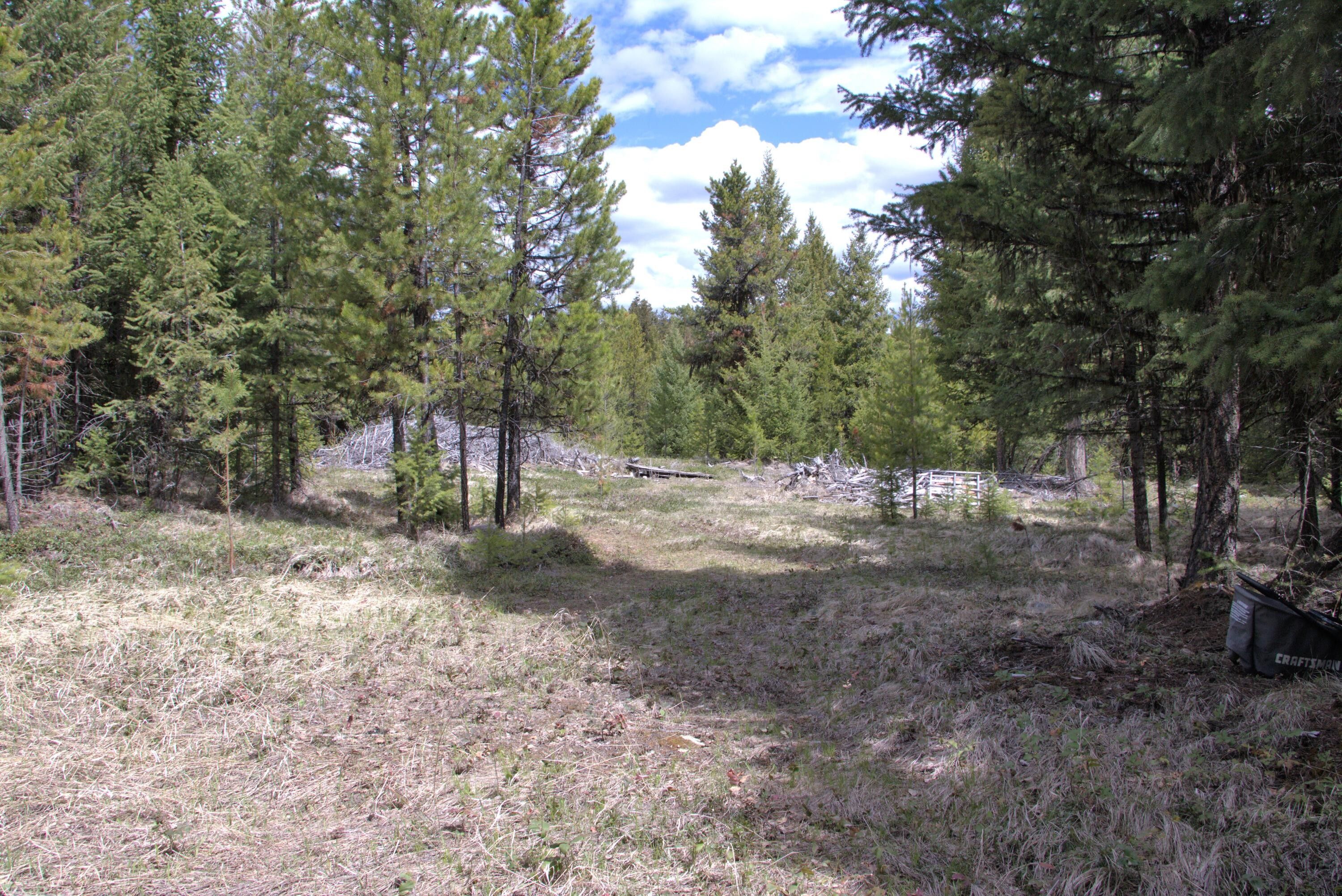 4 acres in Flathead County, Montana