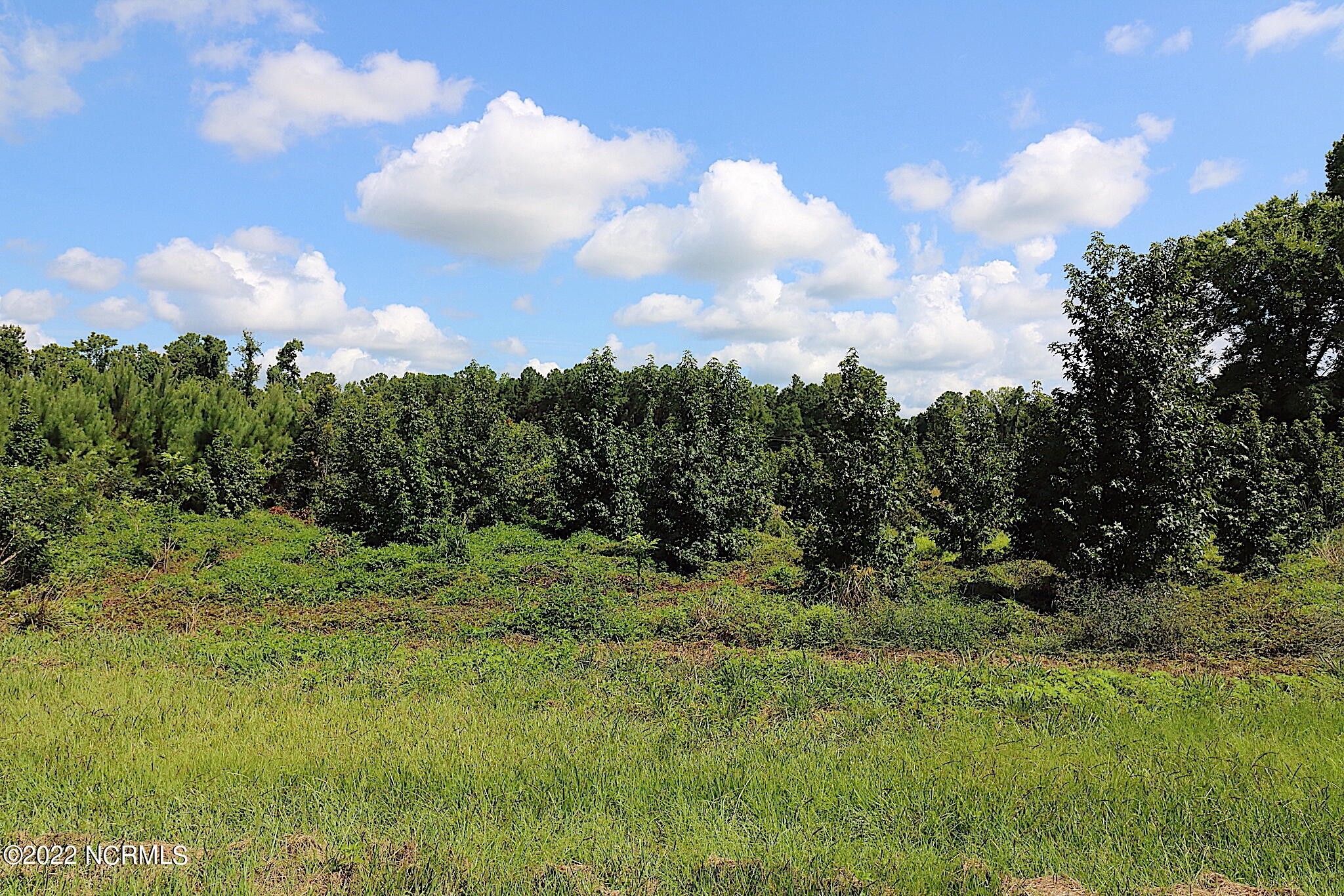 7 acres in Columbus County, North Carolina