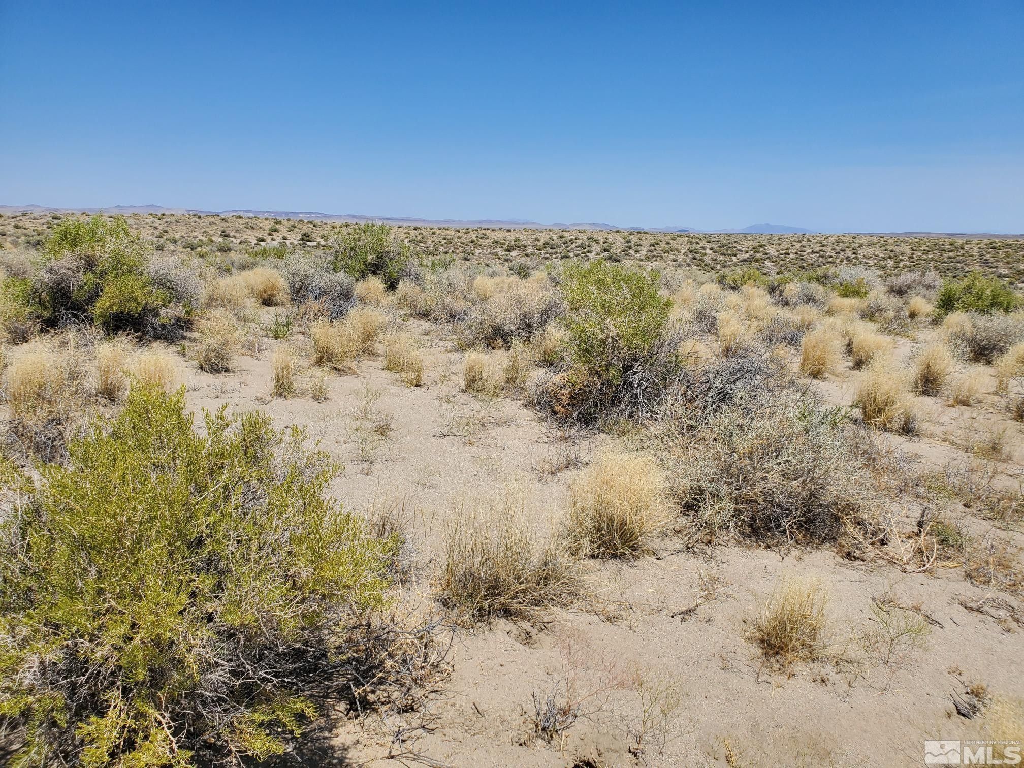 40 acres in Churchill County, Nevada
