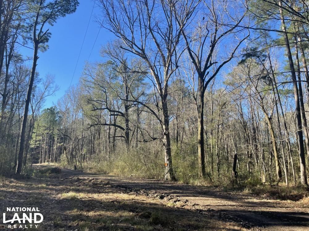 10 acres in Berkeley County, South Carolina
