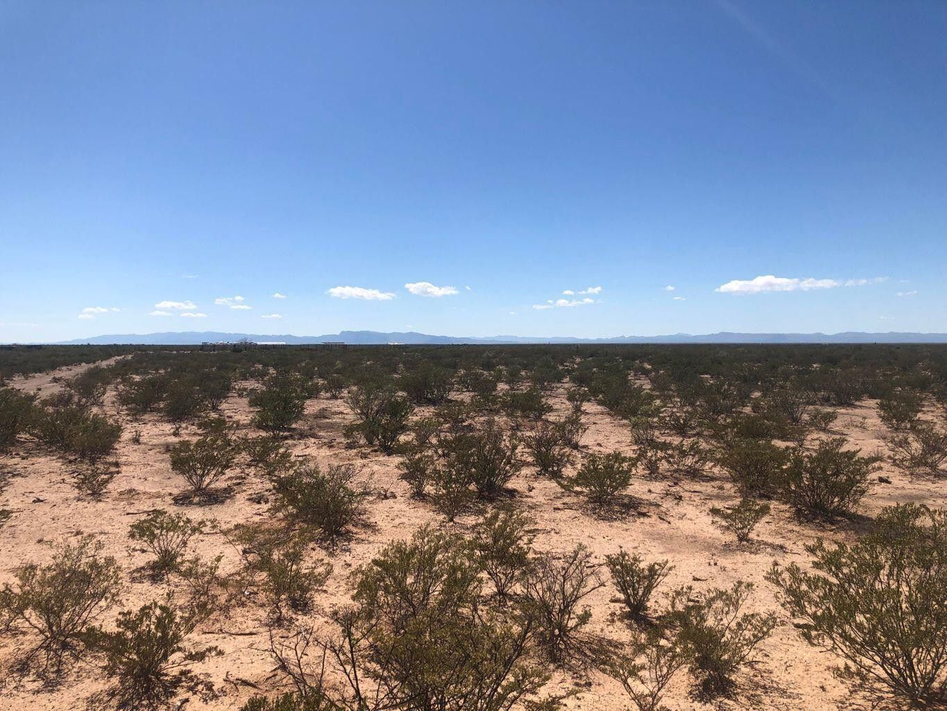 40 acres in Presidio County, Texas