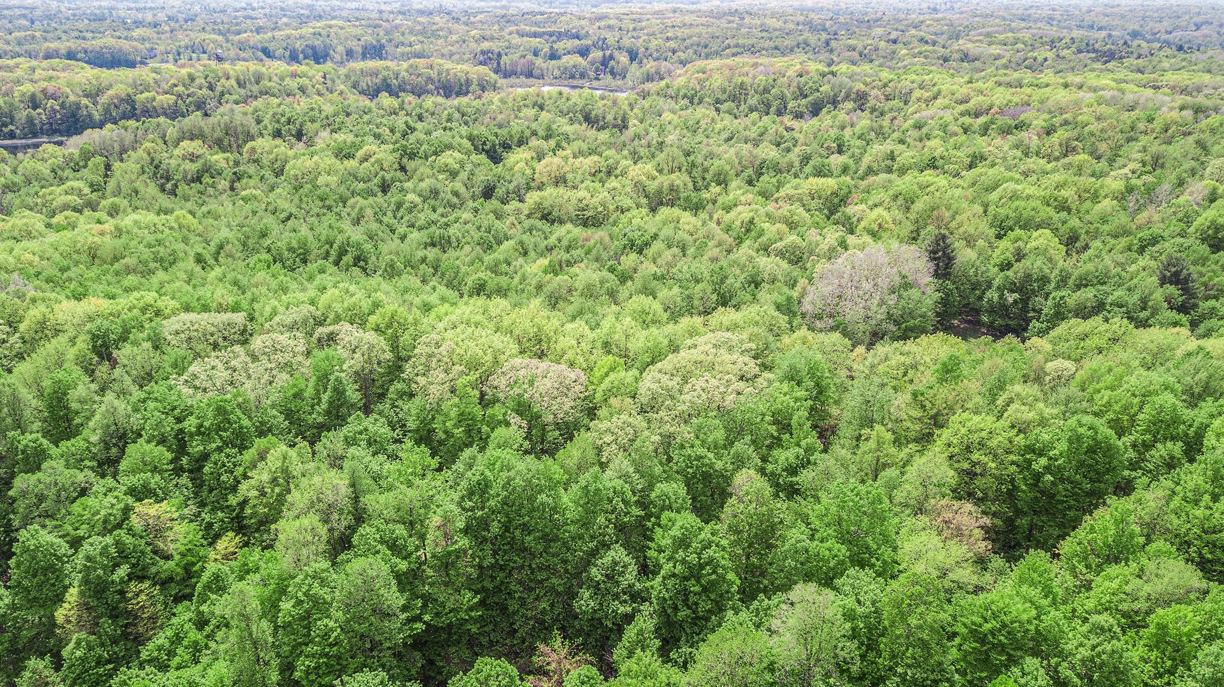 6999 Wellman Rd, Parma, MI 49269