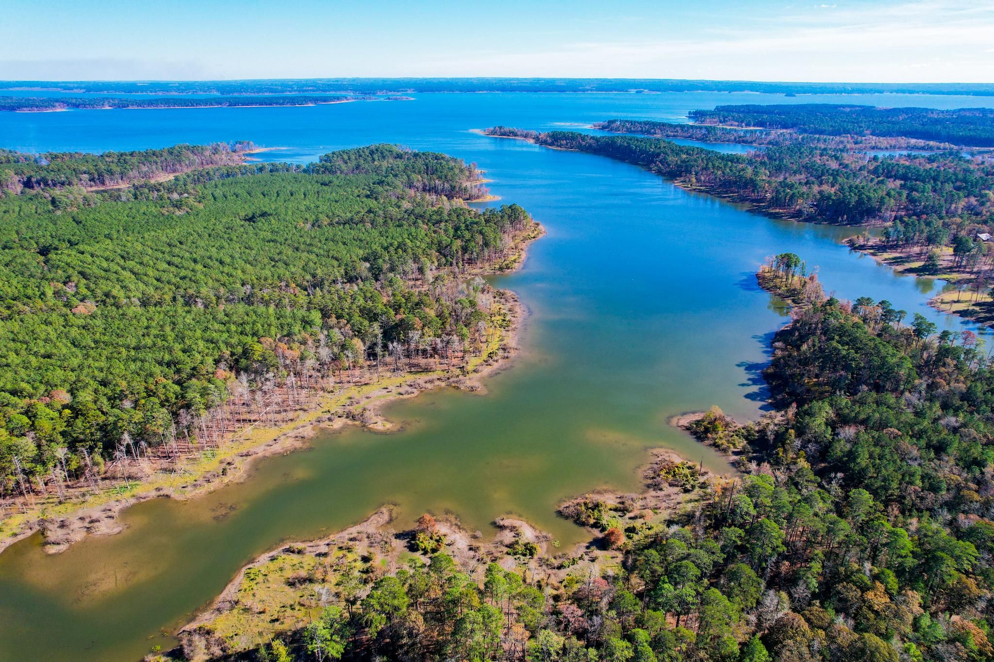 FM 705, Broaddus, TX 75929