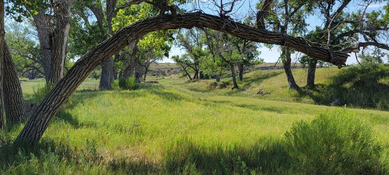 24592 County Road 19, Fort CO 80701 MLS J&B Whitney Farm