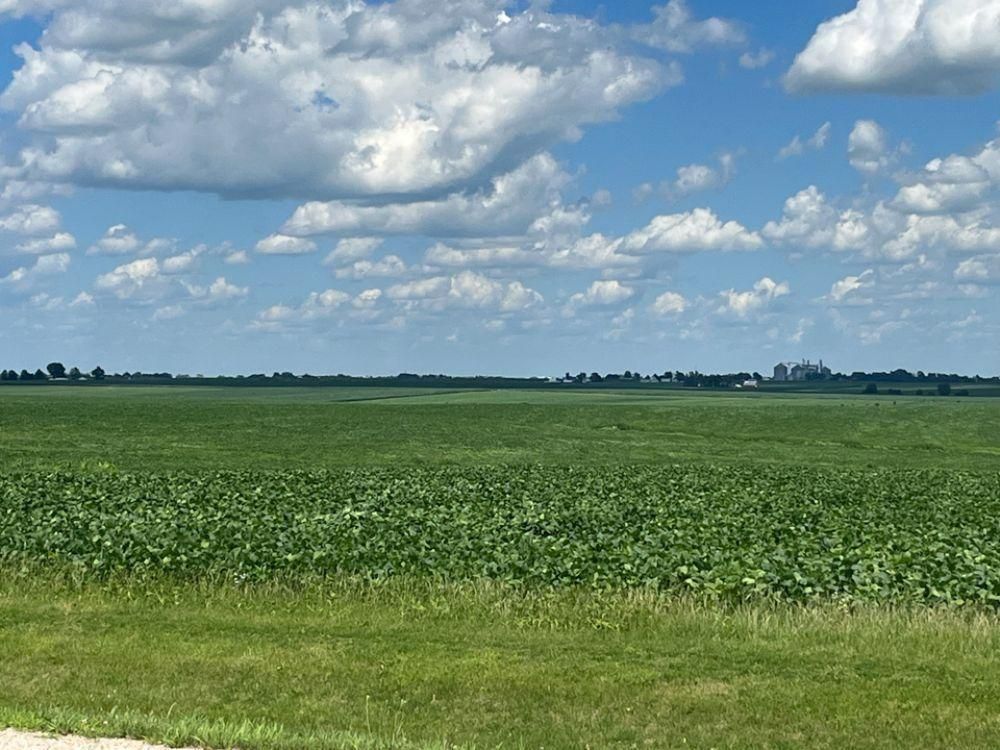 73.14 acres in Cedar County, Iowa
