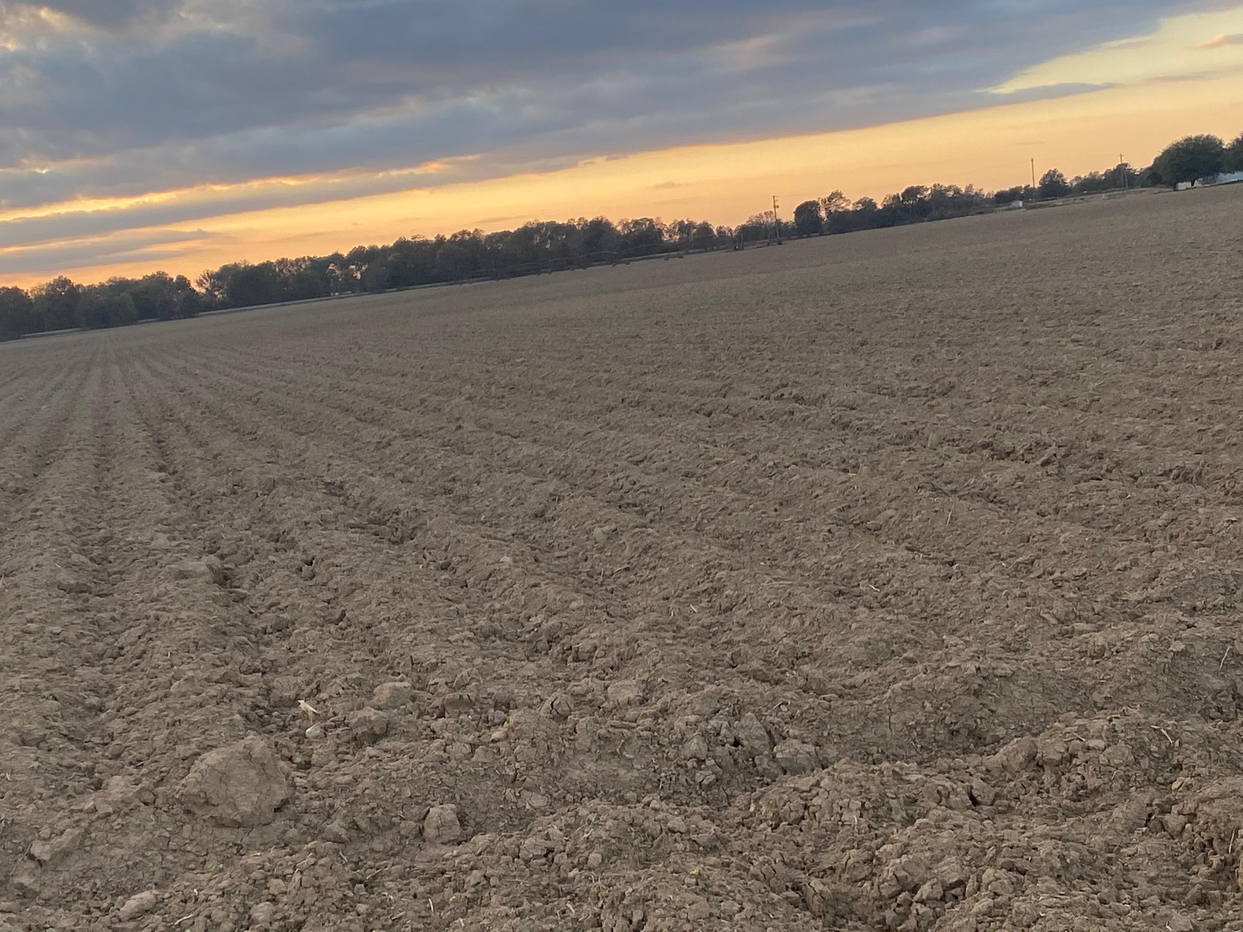 133 acres in Leflore County, Mississippi