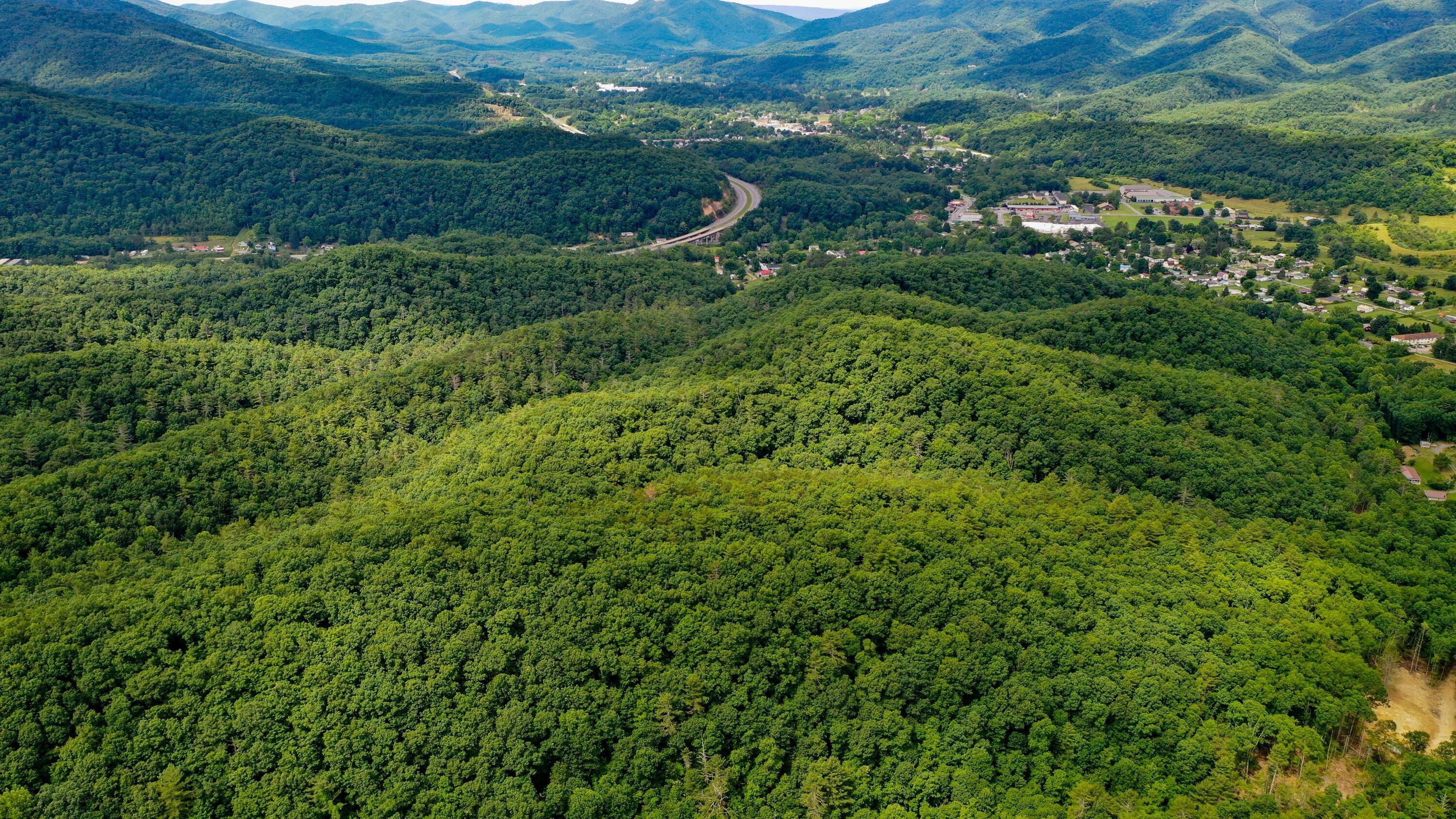 209.5 acres in Greenbrier County, West Virginia