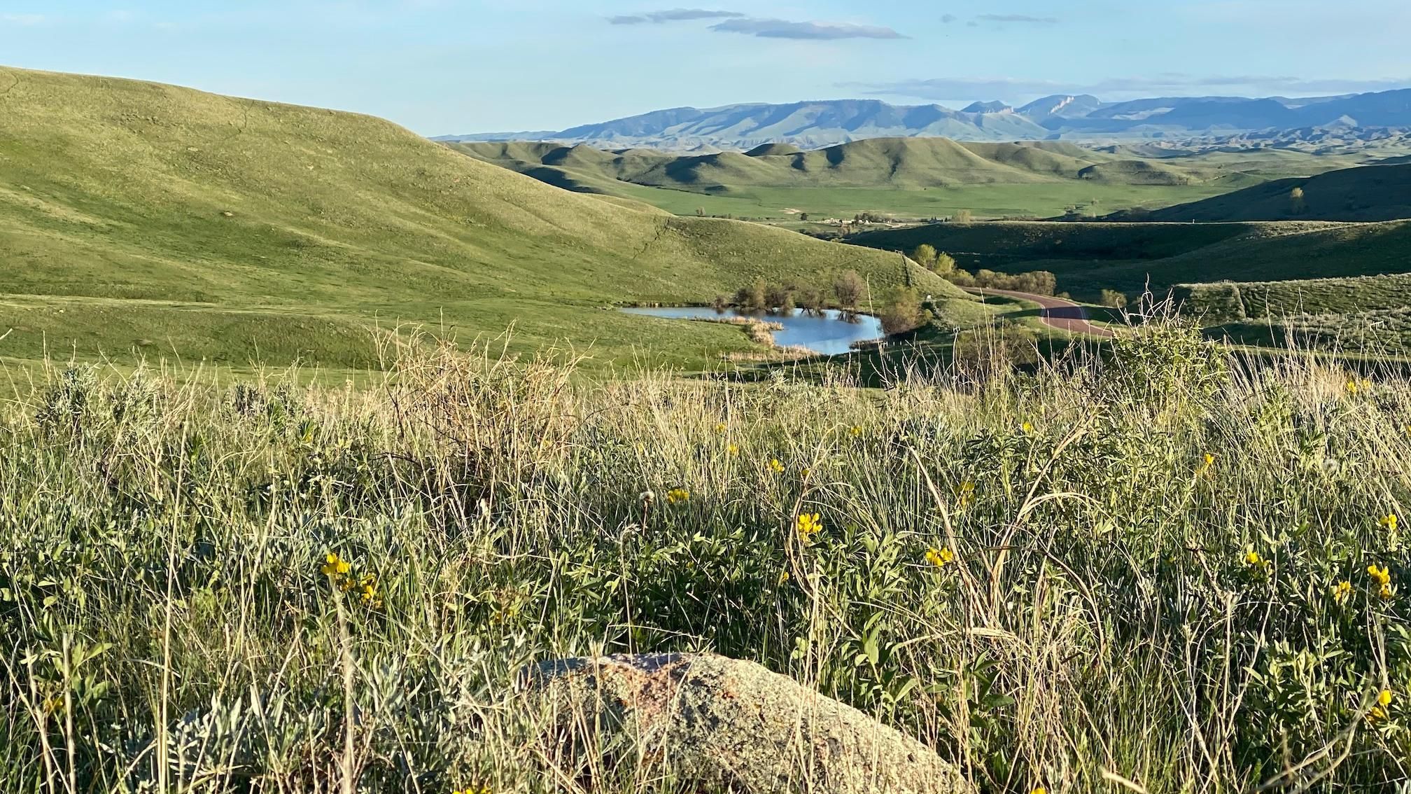 105 acres in Johnson County, Wyoming