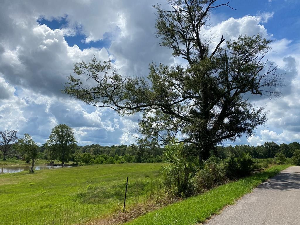 34.9 acres in Perry County, Mississippi