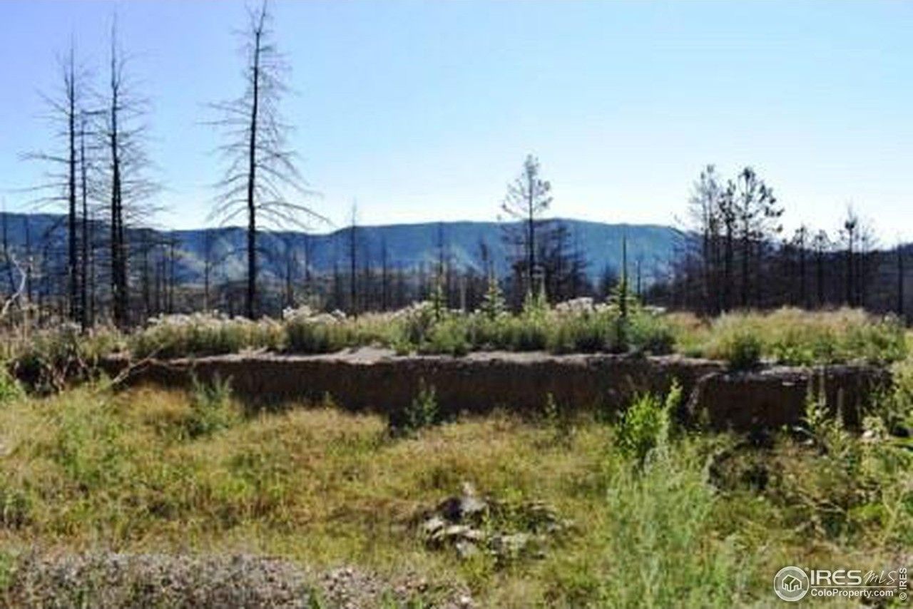 35 acres in Larimer County, Colorado