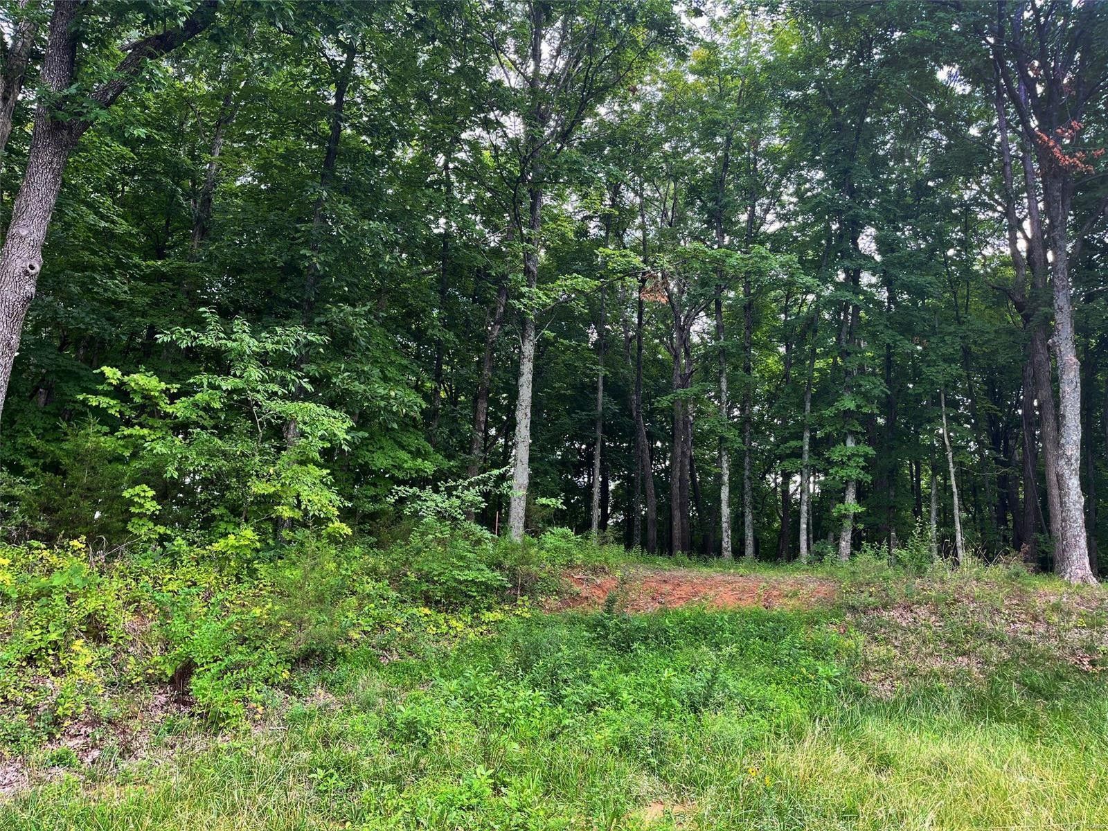 13.32 acres in Warren County, Missouri