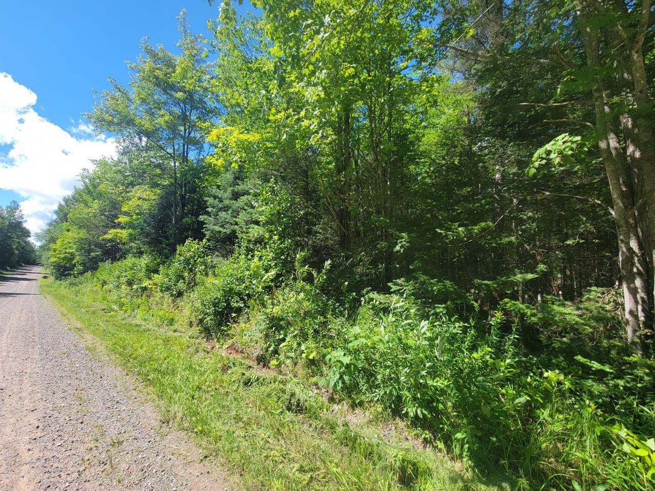 10.45 acres in Gogebic County, Michigan