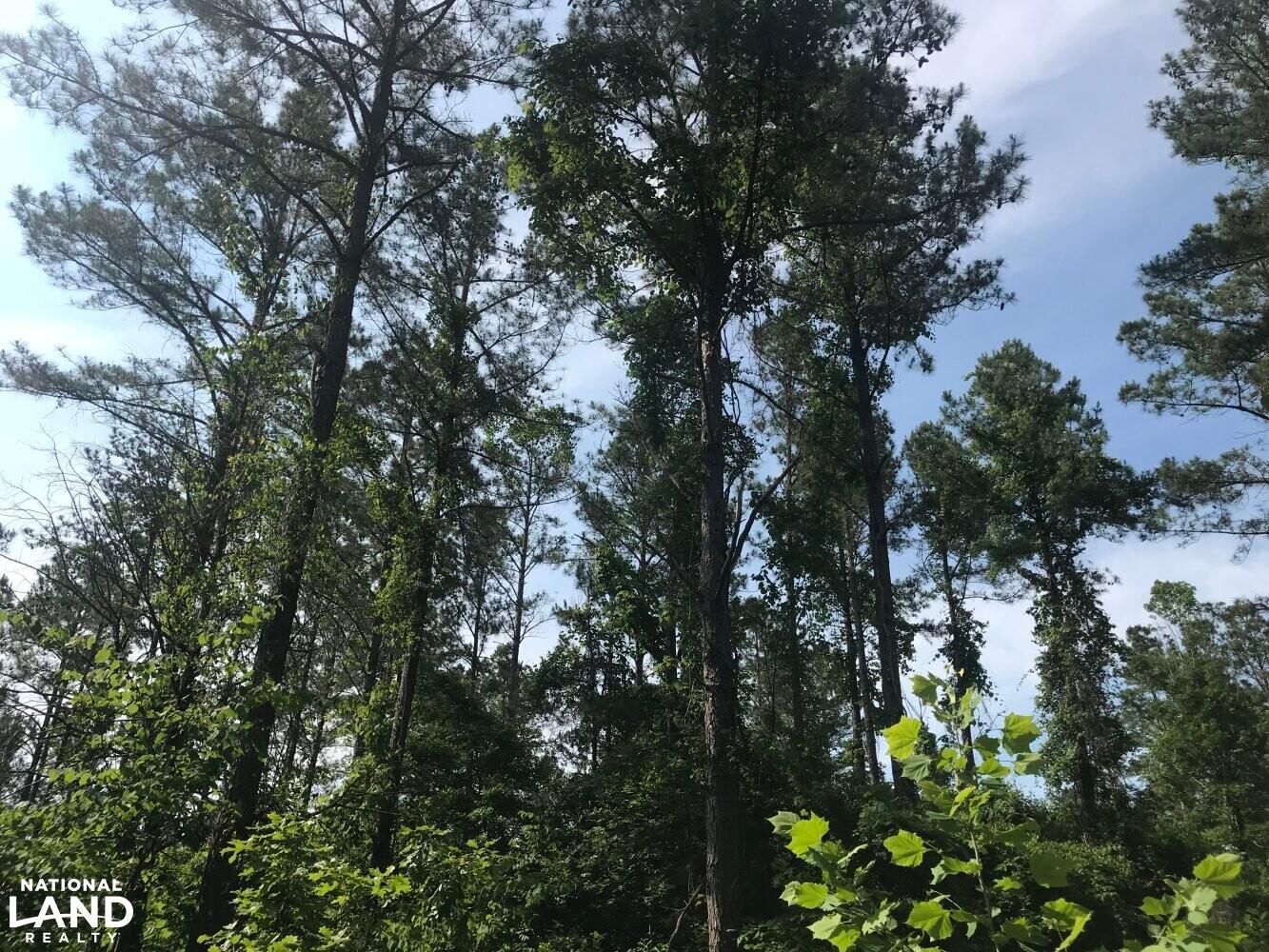 75 acres in Oktibbeha County, Mississippi