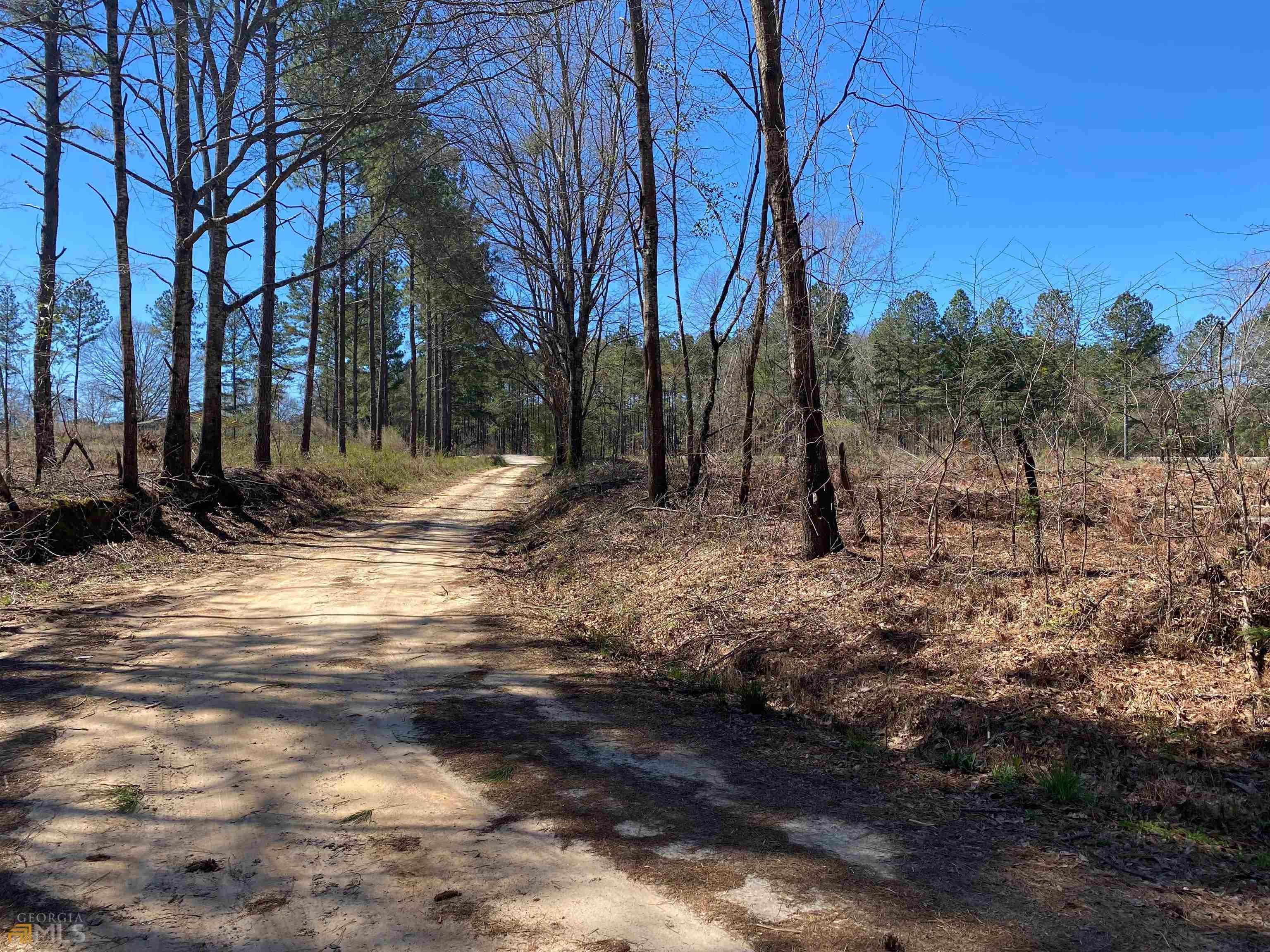 16.9 acres in Meriwether County,