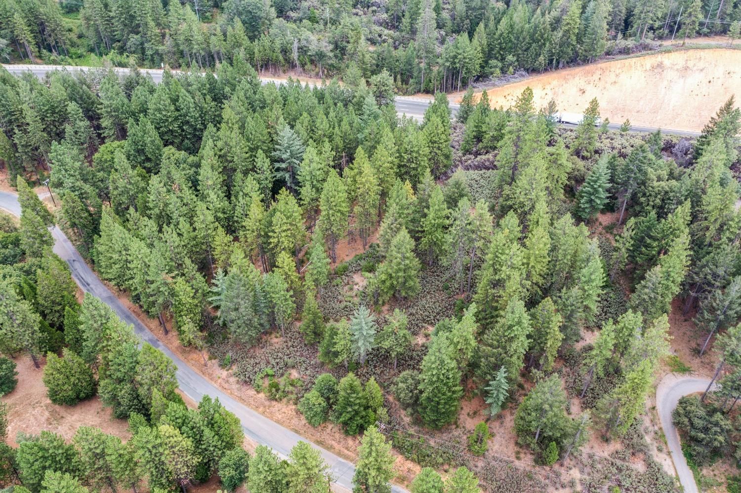 2 acres in Placer County, California