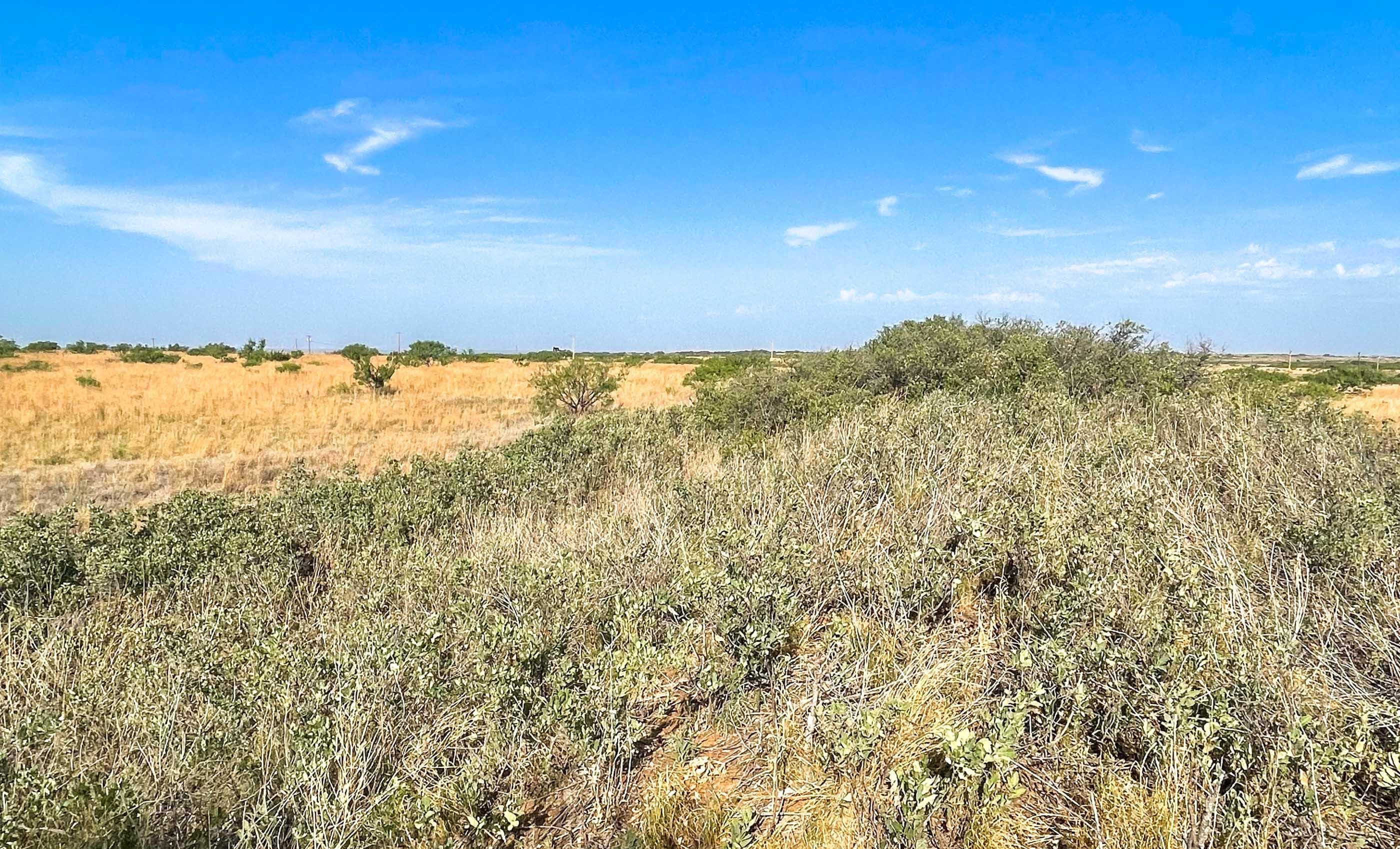 180 acres in Motley County, Texas