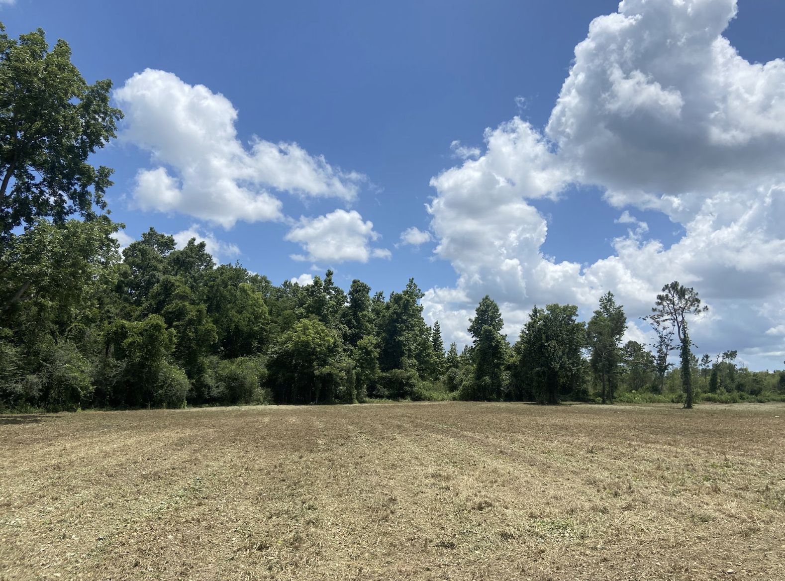 3.64 acres in Mobile County, Alabama