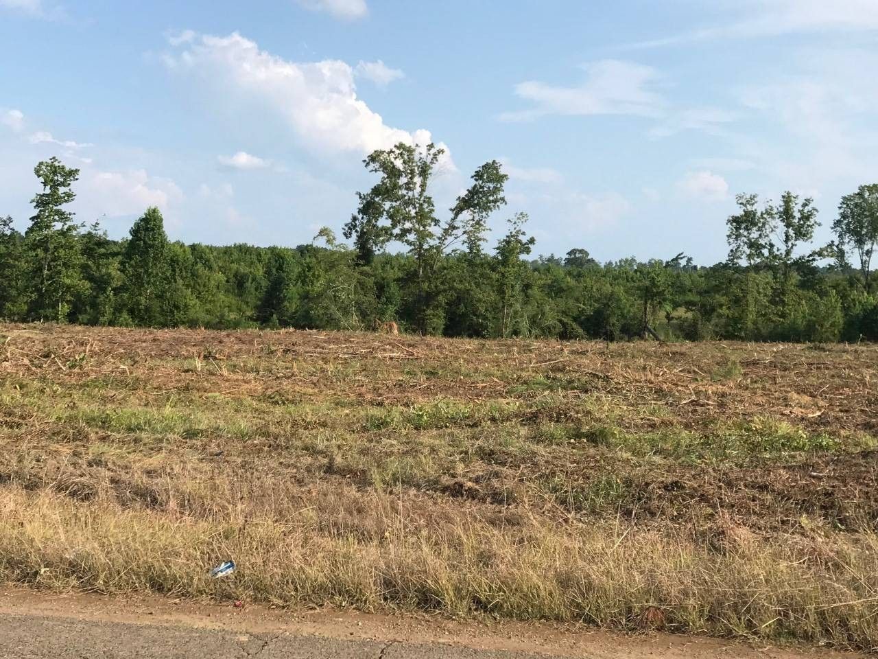 10 acres in Sabine Parish, Louisiana