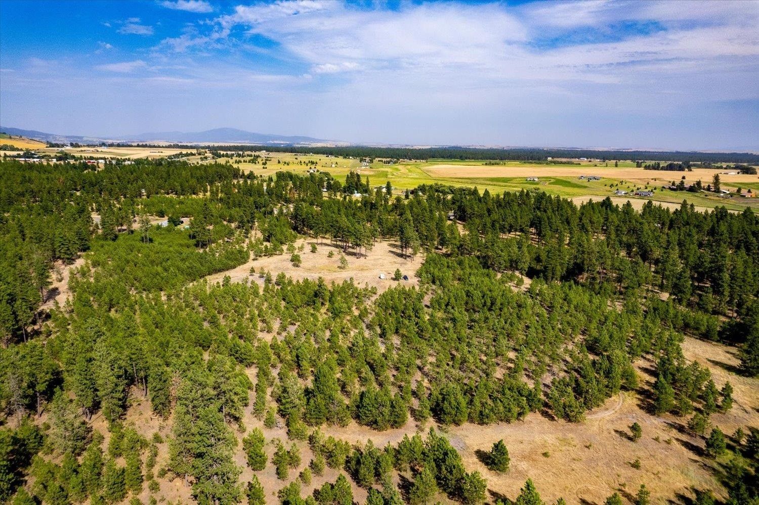 15 acres in Spokane County, Washington