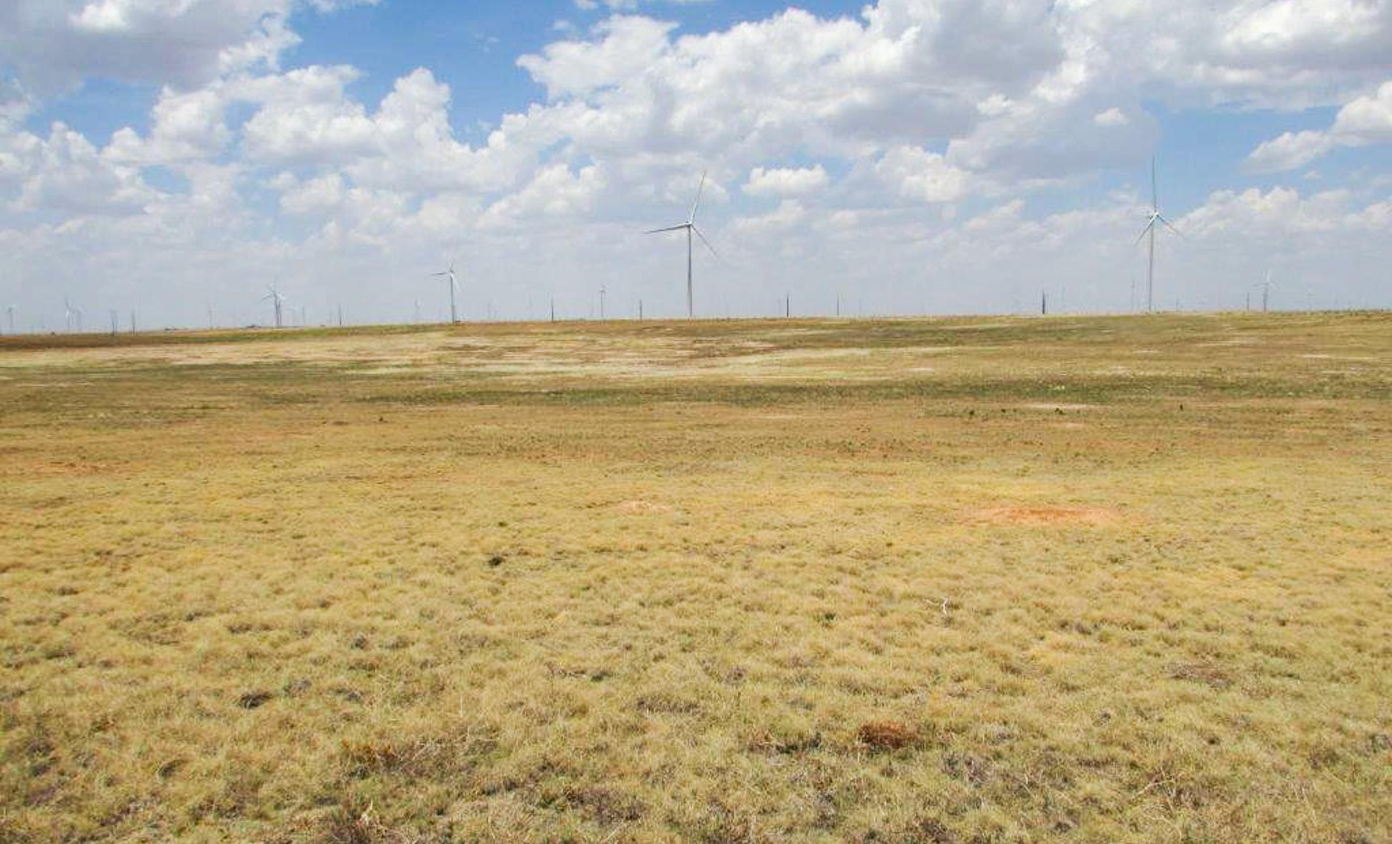 930 acres in Hale County, Texas