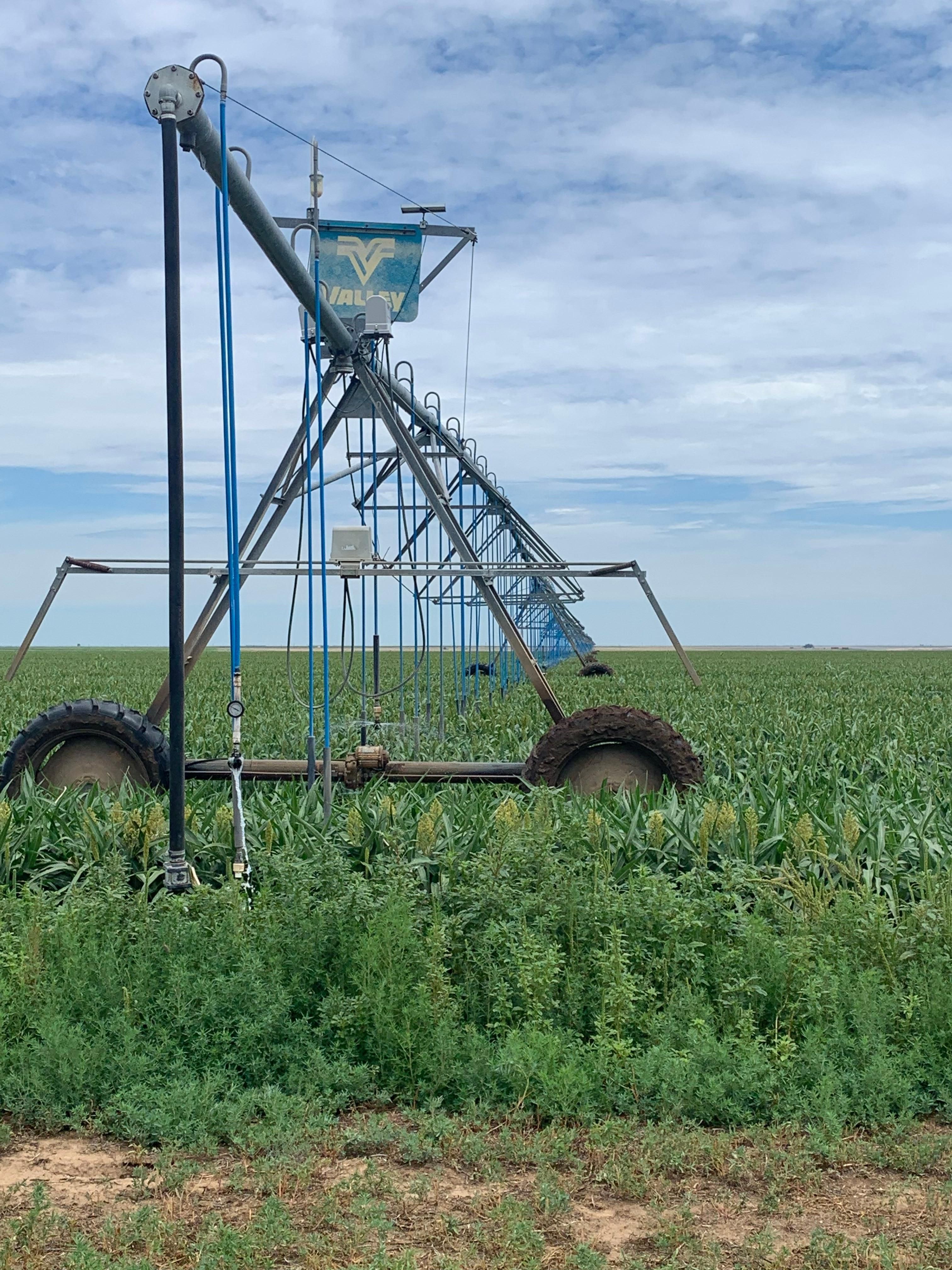 640 acres in Moore County, Texas