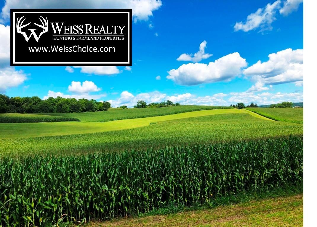 115 acres in Richland County, Wisconsin