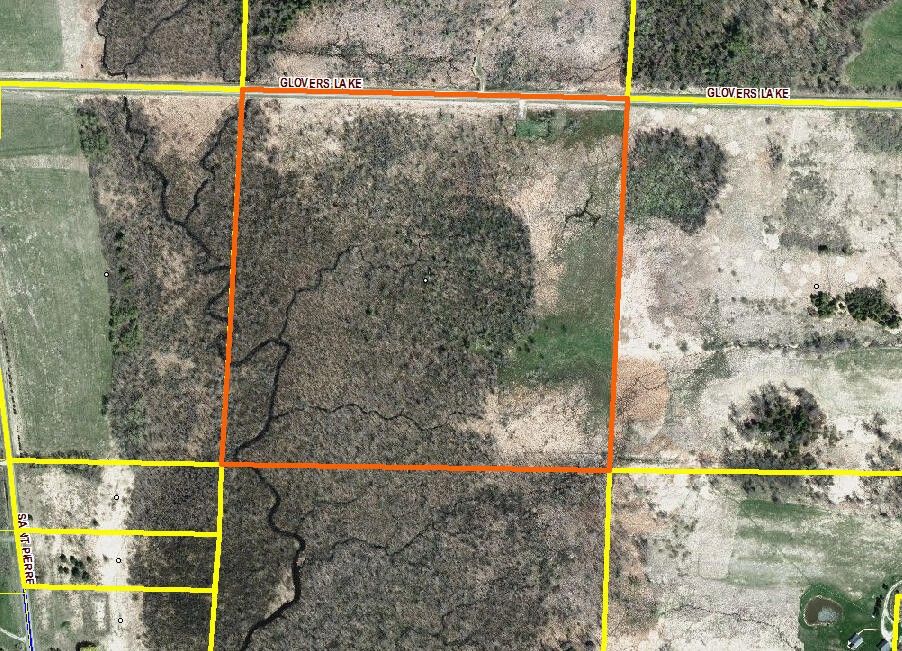 40 acres in Manistee County, Michigan