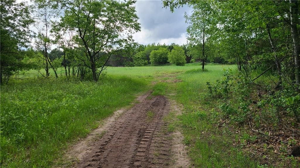 11.25 acres in Dunn County, Wisconsin